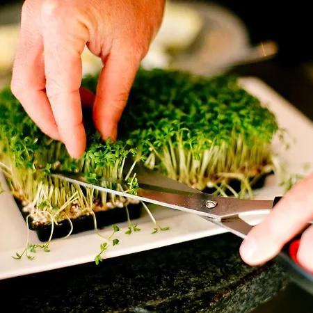 Birkenhof Am Hotel 4*