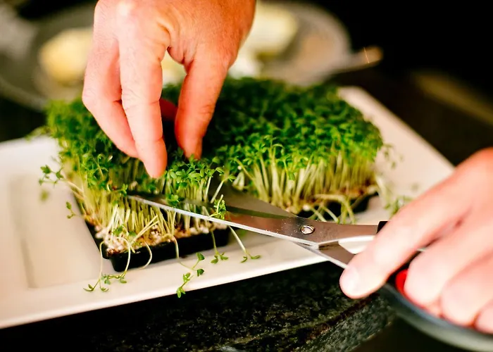 Birkenhof Am Hotel 4*